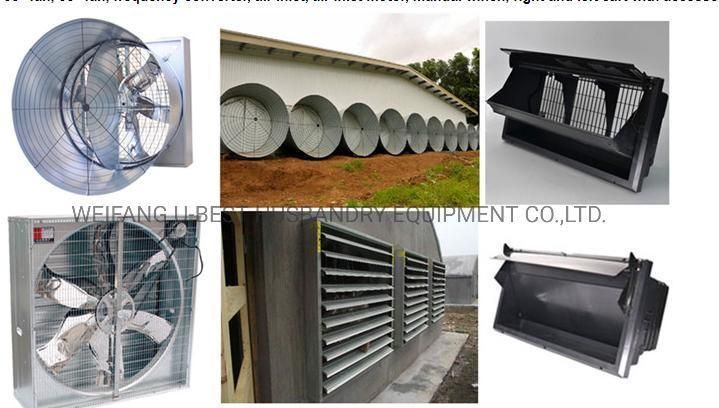 Automatic Animal Raising Poultry Farming Feeding Line Chicken Shed/House Equipment for Broiler/Breed/Chicken Bird