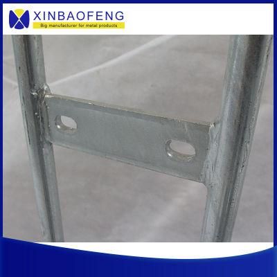 Made-in-China Pig Farm Equipment Farrowing Crate