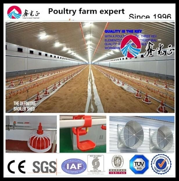 China Low Cost Steel Frame Chicken Layer Duck Breeding Farming House