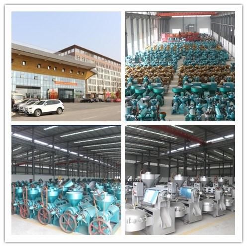 Small Cold Pressed Seed Oil Press Machine Yzyx120wk--W1