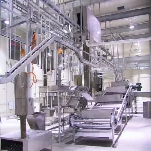 Sheep Abattoir Plant Carcass Cleaning Machine for Slaughtering Equipment