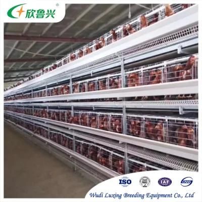 Industrial Layer Chicken House Cages Chicken Coop Poultry Equipment
