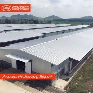 Light Steel Structure House Prefab Home Customized Steel Structure Poultry House