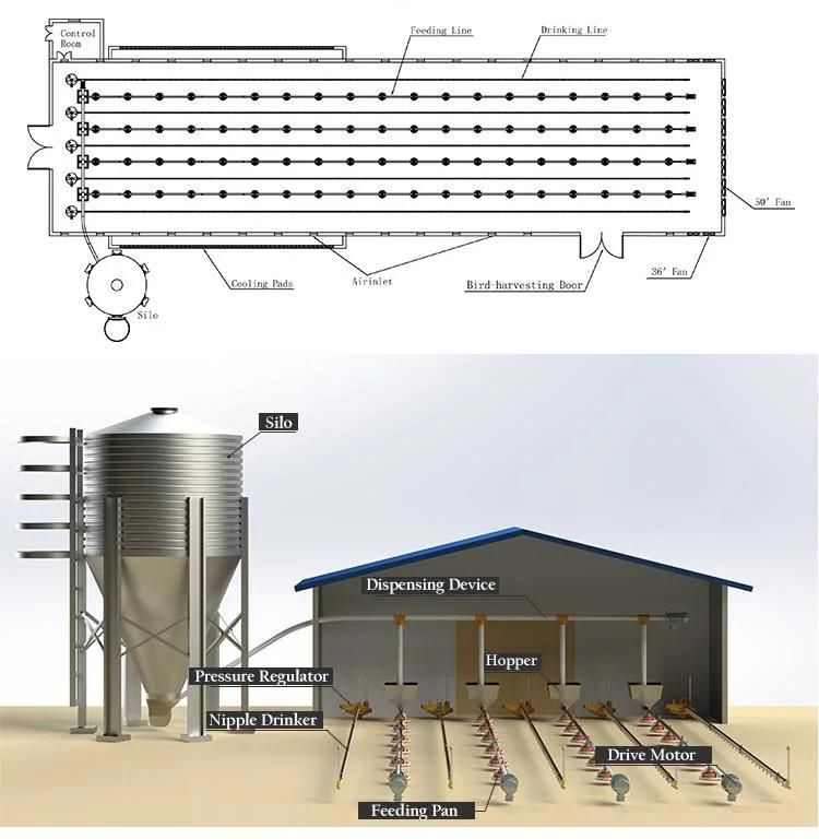 Fully Automatic Feeding Line System Pan Feeder Nipple Drinker Poultry Farming Equipment for Broiler Chicken Products