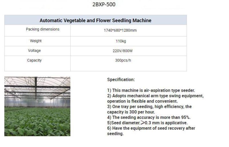 Semi-Automatic Press Hole Tray Eggplant Seeding Line