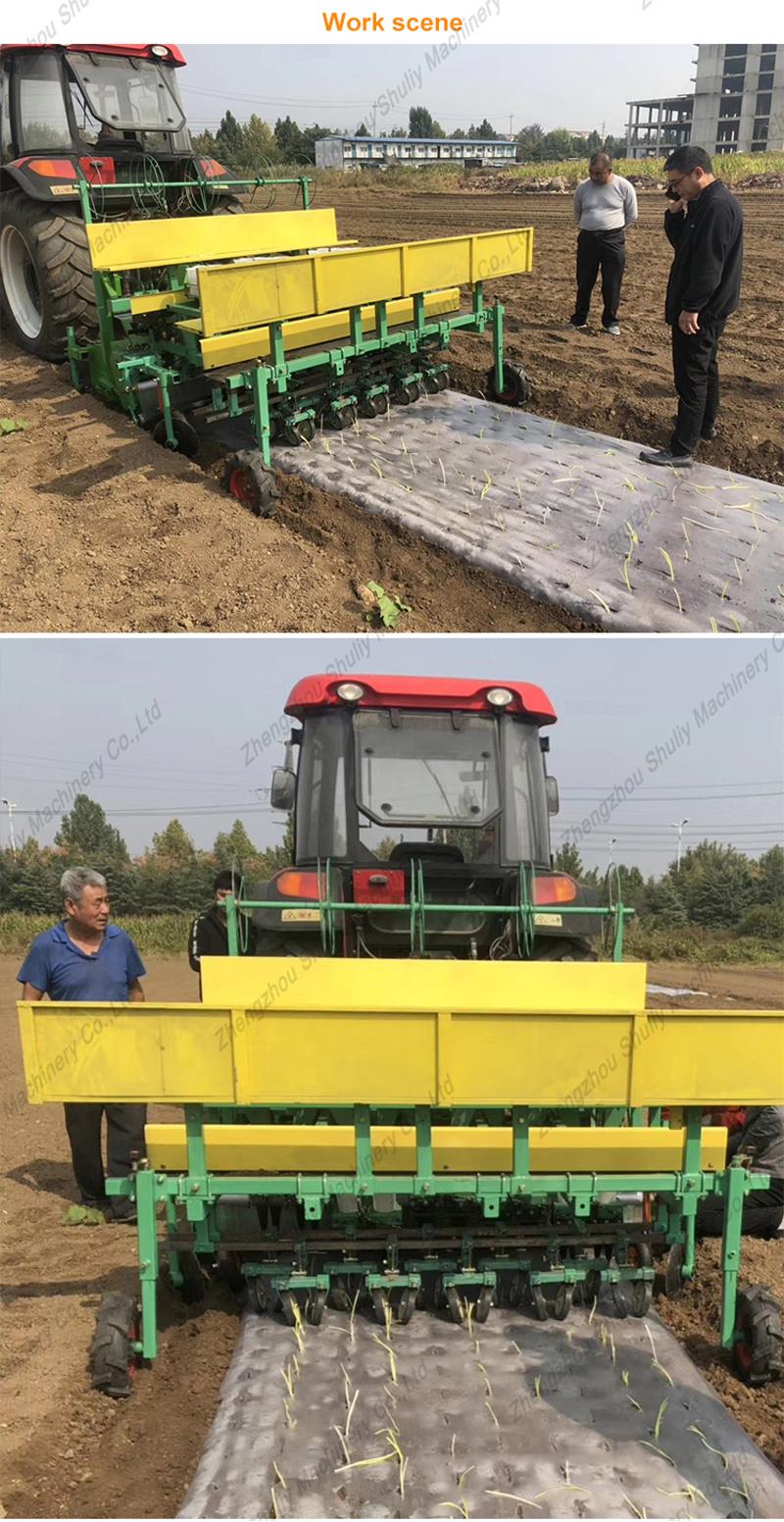 Automatic Onion Planting Machine Vegetable Transplanting Equipment