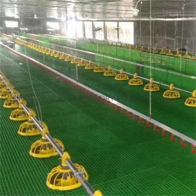 High Quality Automatic Chicken Feeder and Drinker for Poultry