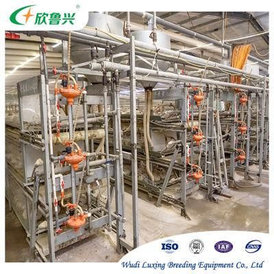 Poultry Equipment for Broiler and Layer Chickens Livestock Powder Feed Machinery