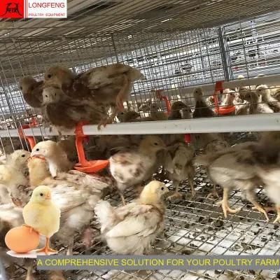 275g Hot Galvanized Wire Mesh and Sheet New Longfeng Poultry Farming Equipment with High Quality