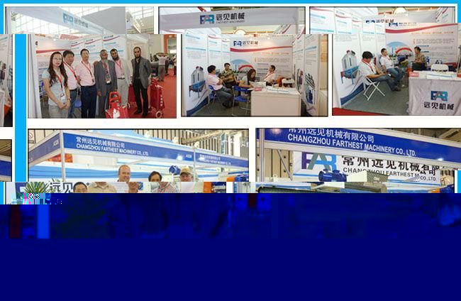 Dry Screw Extruder Pet Dog Food Processing Machine