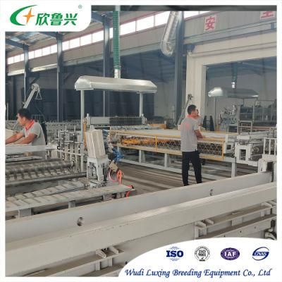 Hot Selling Large Automatic H-Type 4-Layer Broiler Cage System for Poultry Houses