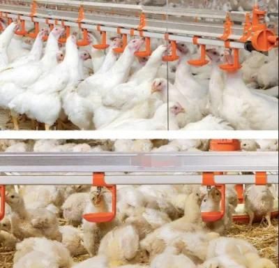 Chicken Ground System Automatic Chicken Farm Equipment for Poultry Farm