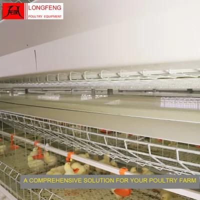 Hot Galvanized Poultry Drinkers Broiler Chicken Cage with 1 Year Warranty