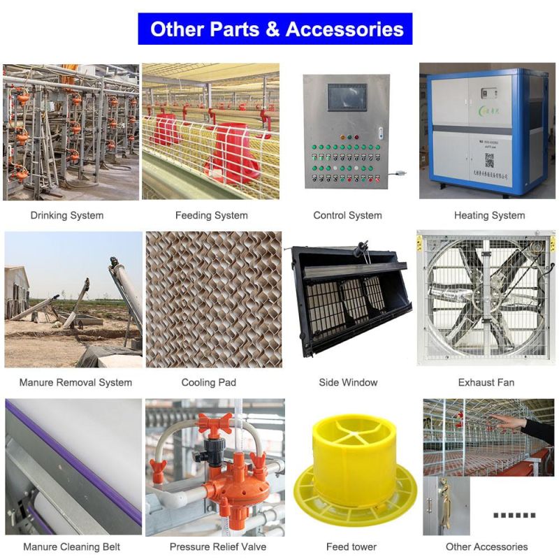 Complete Automatic Egg Layer Farming Equipment Battery Poultry Chicken Cage System