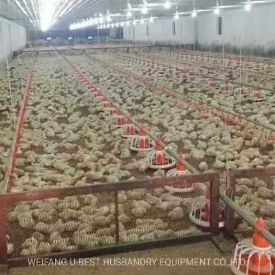 Automatic Poultry Equipment Raising Broiler Chicken Auger Pan Feeding Line System