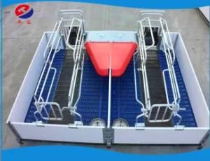 Pig Farming Equipment/High Quality Pig Farming Equipment Pig Farrowing Pen/Farrowing Crate /Livestock Machine