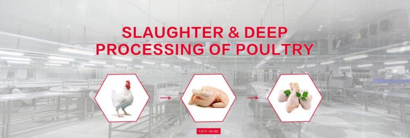 Capacity of 300 Bph Duck Poultry Slaughtering Processing Equipment Chicken Slaughter Line Price