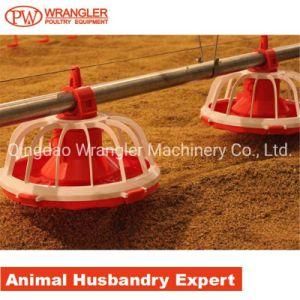 Automatic Broiler Farm Equipment for Poultry Feeder Pan