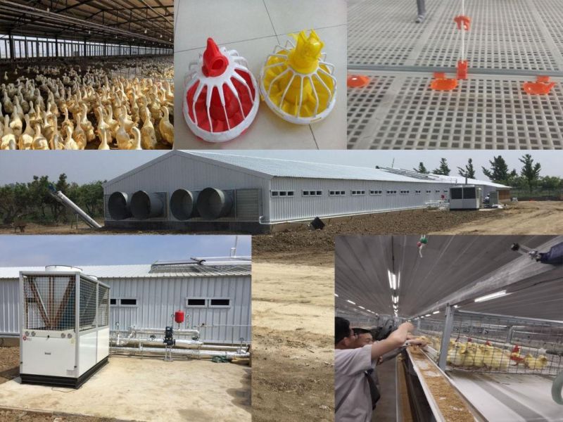 Chicken Farming Equipment Chicken Cage