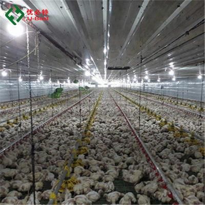 Automatic Chicken House Broiler Poultry Farm Equipment