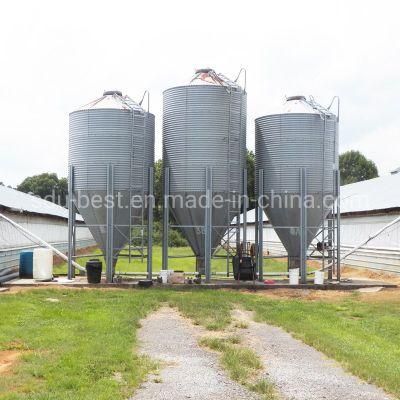 Hot Galvanized Feed Storage Silo for Chicken House Shed Equipment
