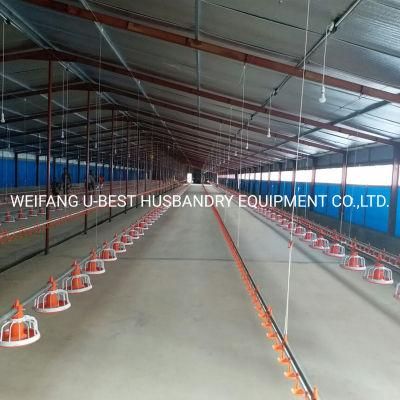 Automatic Poultry Shed Chicken Farm Poultry Feeding Equipment