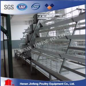a Type Chicken Layer Cage Poultry Incubator Equipment