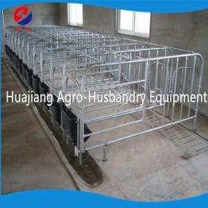 Gestation Crate for Sale Pig Farming Equipment Pig Crate Best Sell