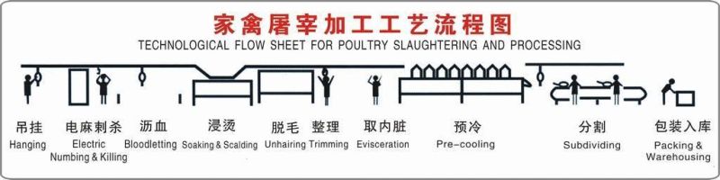 Chicken Plucker Machine Poultry Feather Plucking for Chicken Slaughtering Line Poultry Abattoir Equipment