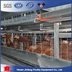 H Type Hot Galvanized Battery Egg Layer Cages