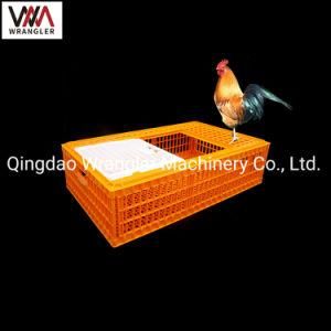 Plastic Broiler Chicken Transportation Crates Cage for Transport of Chicken