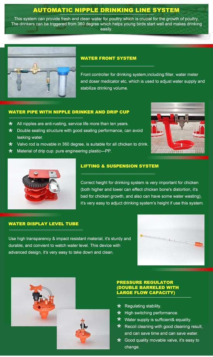 Automatic Poultry Shed Equipment/Chicken Farm Equipment / Complete Farming System