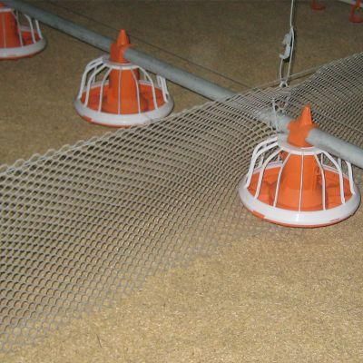 Pan Feeding System Broiler Flooring Ground Feeding Hot Sale Chicken Poultry Farm Equipment