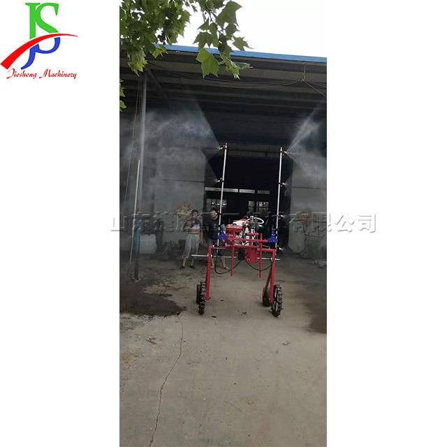 Gasoline-Powered Crop Dosing Machine Self-Propelled Pesticide Sprayer