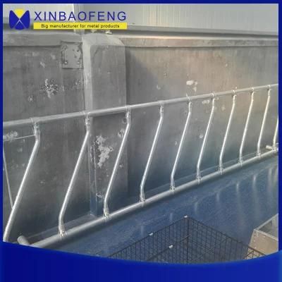 Hot-DIP Galvanized Safe Cattle/Cattle Free Breeding Stall Agricultural Machinery