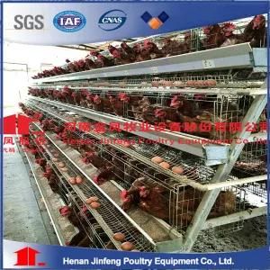 Chicken Cage Layer Poultry Cage for Chicken Farm
