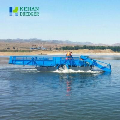 Water Hyacinth Is Crushed to Clean The Boat