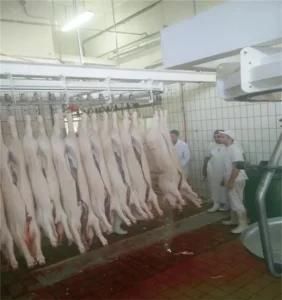 Horizontal Pig Shackling Conveyor for Pig Slaughter Equipment Line