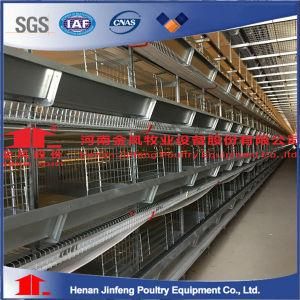 H Type Hot Galvanized Automatic Layer Chicken Cage Equipment