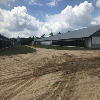 Easily Built Long Time Usage Prefab Automatic Chicken Coop Equipment