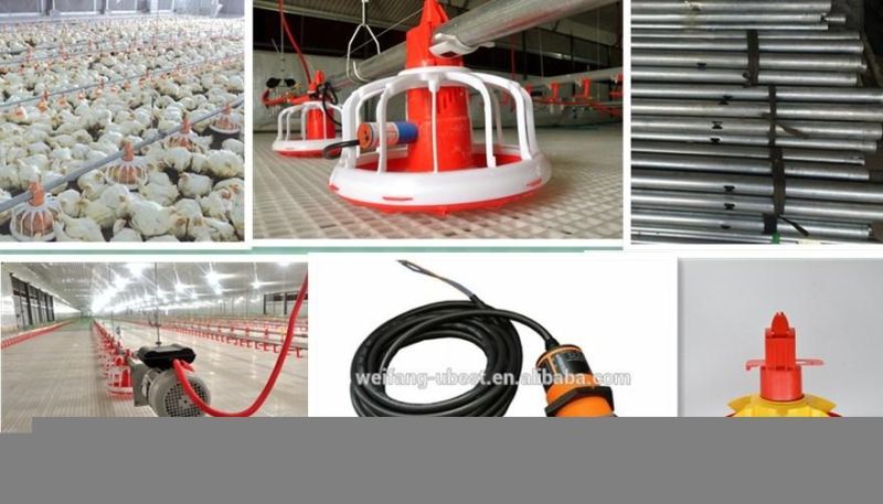 Broiler Automatic Poultry Equipment for Chicken Farming Shed