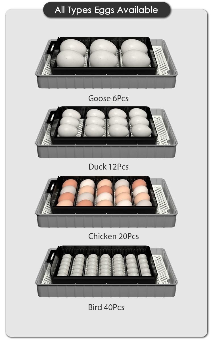 Hhd Supply Fully Automatic Ew9-20 Incubator with LED Egg Tester for Retail