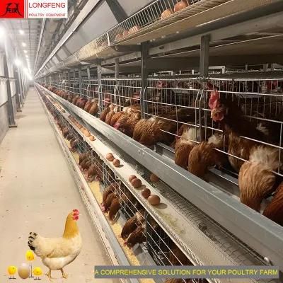 Local After-Sale Service in Asia Farming Equipment Poultry Farms Chicken Cage