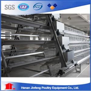 Layer Broiler Pullet Chicken Cage with Automatic Raising Equipment