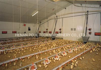 Chicken Farm Feeding and Drinking Equipment