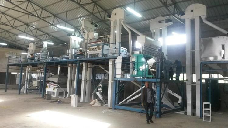 Coffee Bean Cleaning Line / Cocoa Bean Processing Line