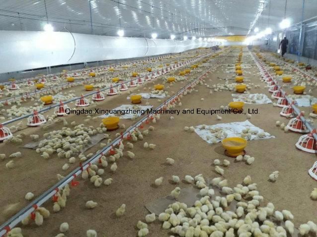 Self-Designed High-End Feeder of Broiler Cage System