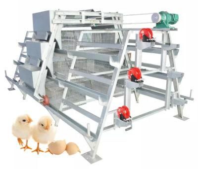 a Type Pullet Chicken Cage Automatic Raising System Poultry Farm Equipment for Small Chick Large Farm