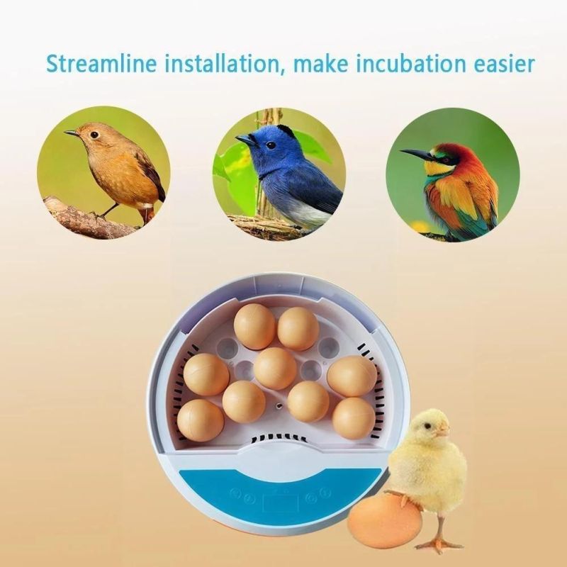Reptile Egg Incubators 10 Eggs Fully Automatic Infant Reptile Egg Incubator Price
