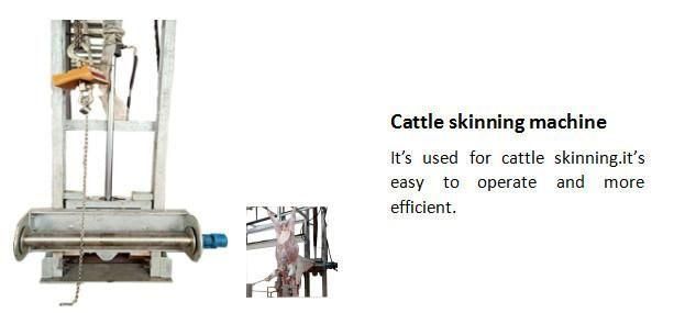 Beef Processing Machine Cattle Cow Slaughtering Abattoir Equipment